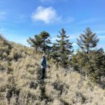 lucylivingproject_minimalism_experience