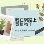來養室內植物吧！小菜一盆植物網購經驗分享