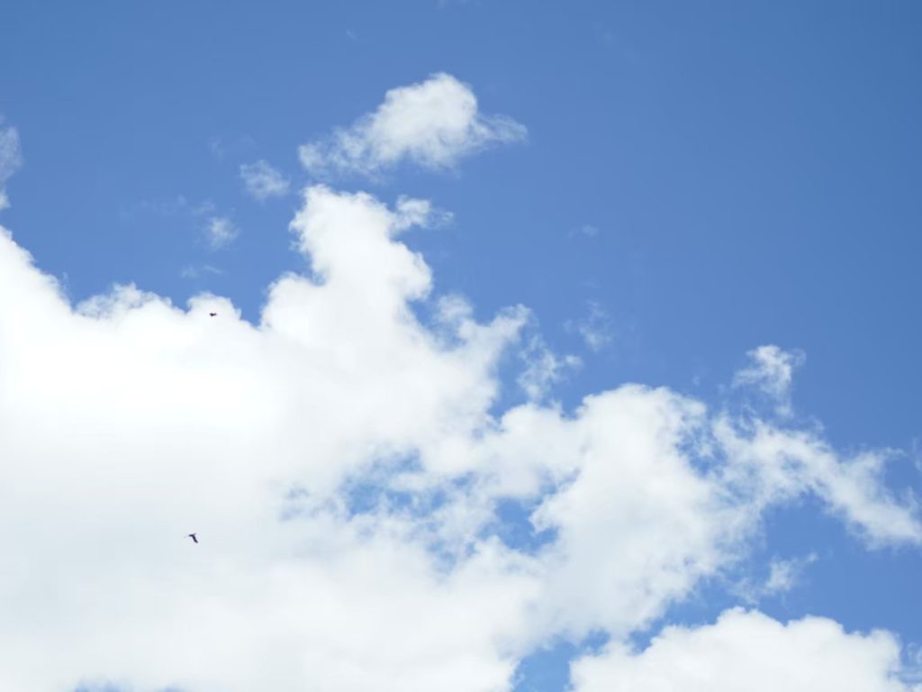 LOG 01｜下一步是？