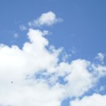 LOG 01｜下一步是？