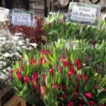 英國倫敦 | 哥倫比亞路花市Calumbia Flower Road Market，當個文青散個步